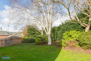 Communal Gardens- click for photo gallery